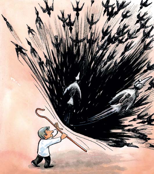 Te regalo la voz del pueblo: consultas ciudadanas y legalidad