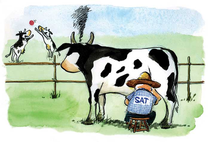 El principio del fin de la opacidad en las amnistías fiscales