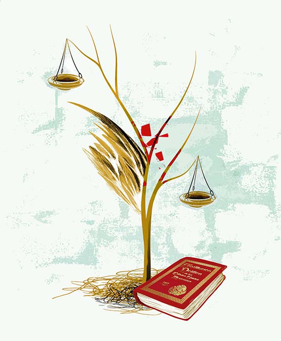 Ley Bonilla: la Suprema Corte en la encrucijada