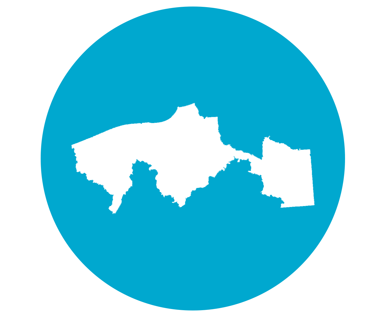 Cuando el Estado obedece al crimen: Tabasco y el poder criminal desde dentro